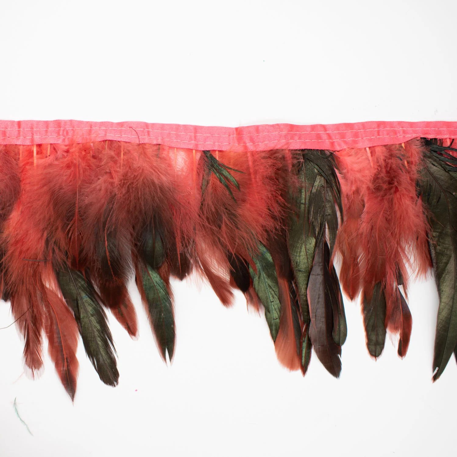 Feather Trimming - Image 41