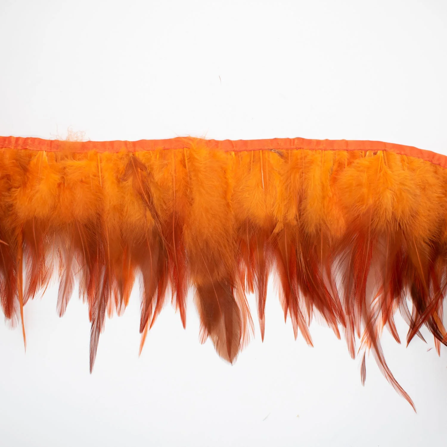 Feather Trimming - Image 48