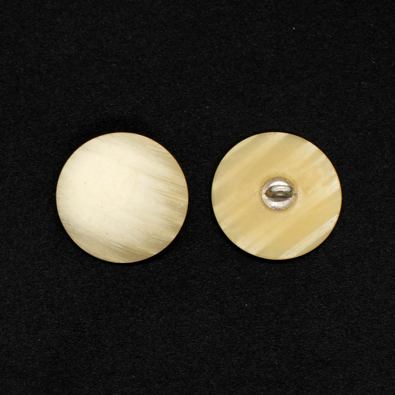 Matt Flat Horn Shank Button - Image 6