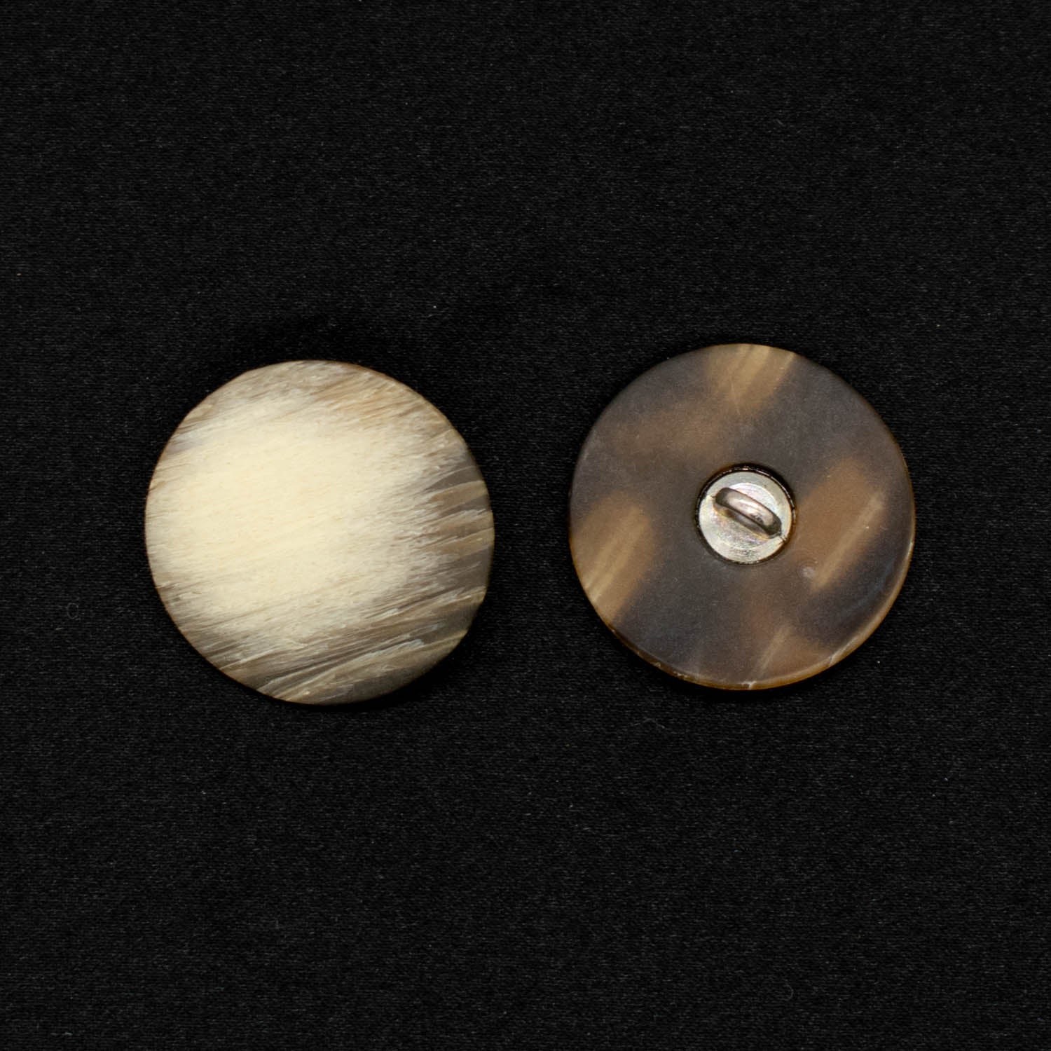 Matt Flat Horn Shank Button - Image 8