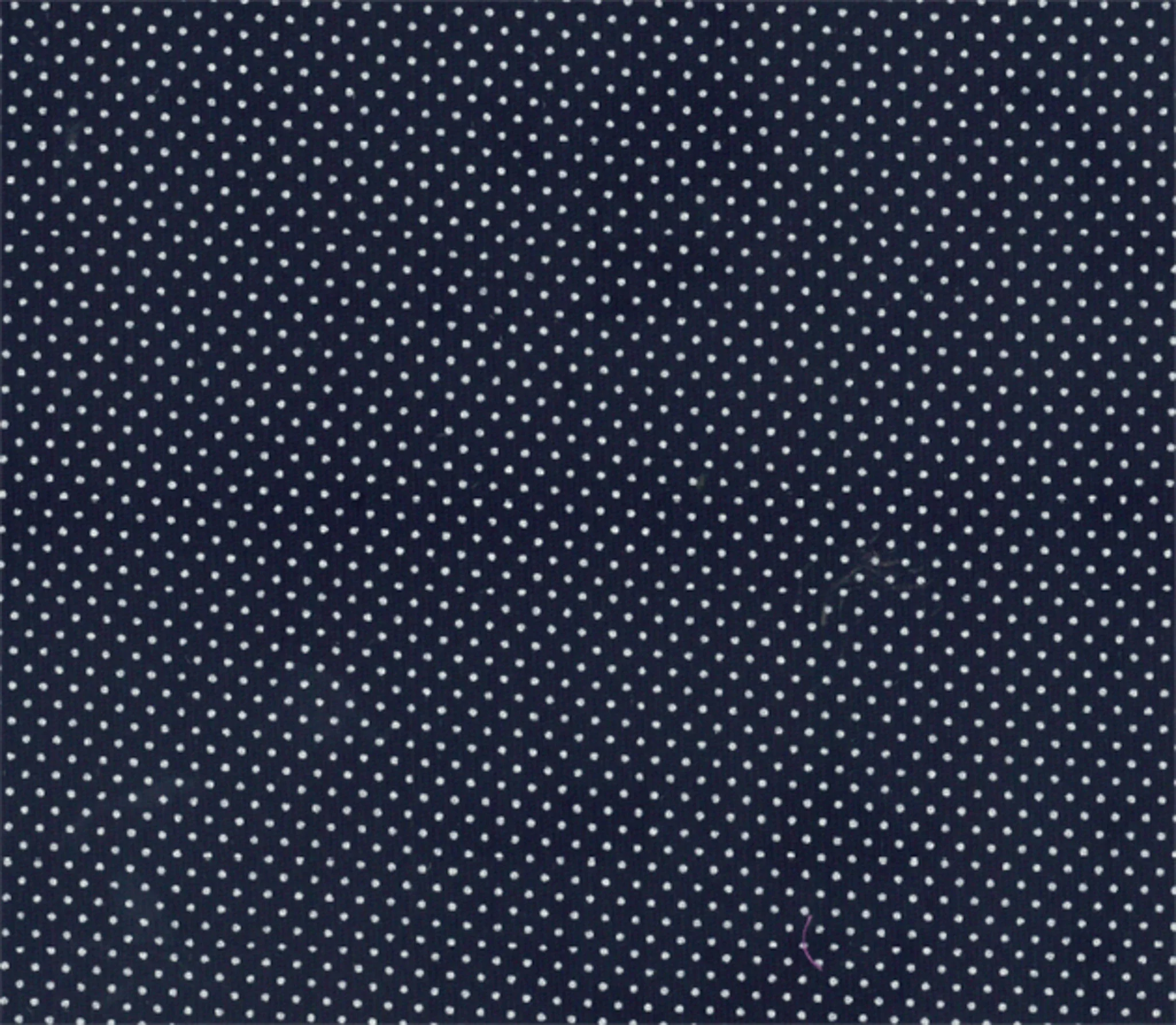 Micro Polka Dot Cotton Print - Image 24