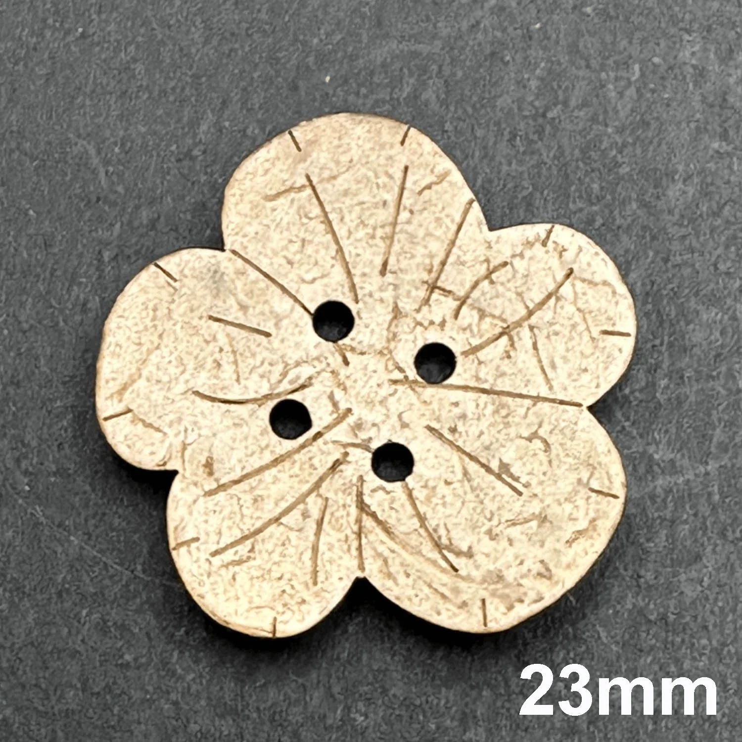 Natural Coconut Button - Image 35