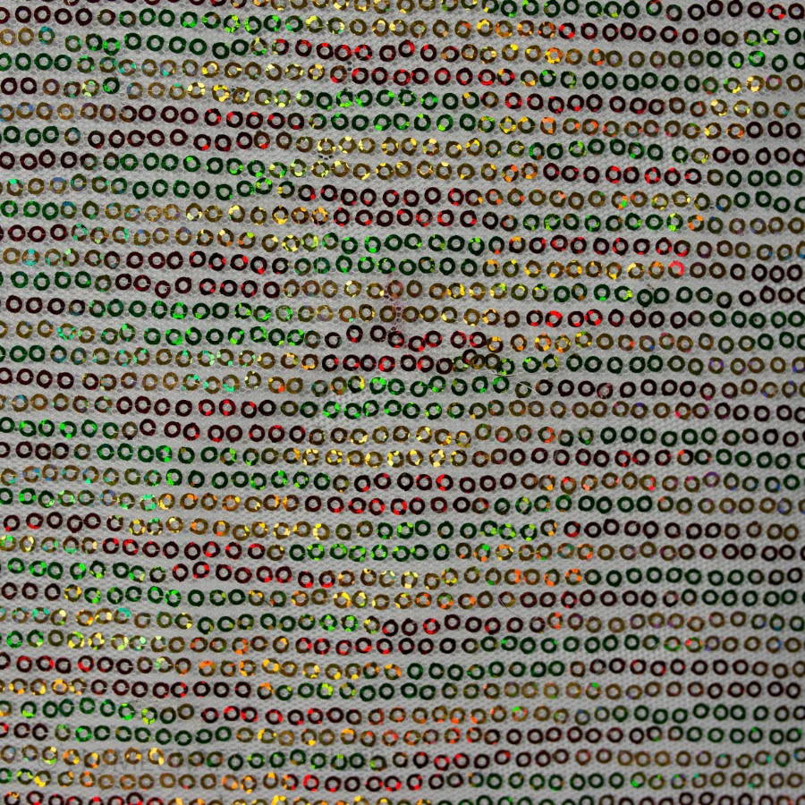 Sequins Fabric - Image 2
